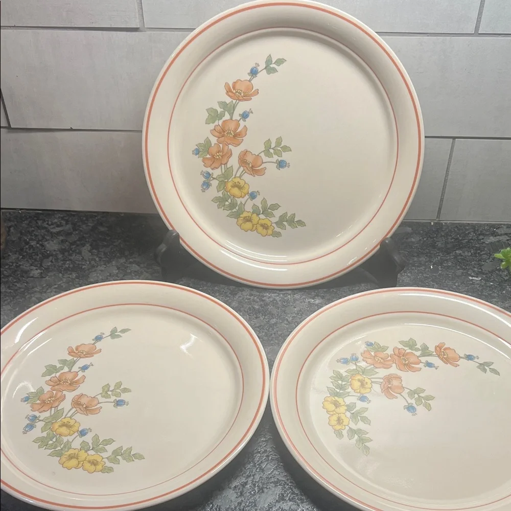 Corelle Royal Garden 10” dinner plate. Like new.  Set of 3.